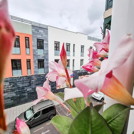 Apartamento Casa Luz Precioso En El Centro Del *